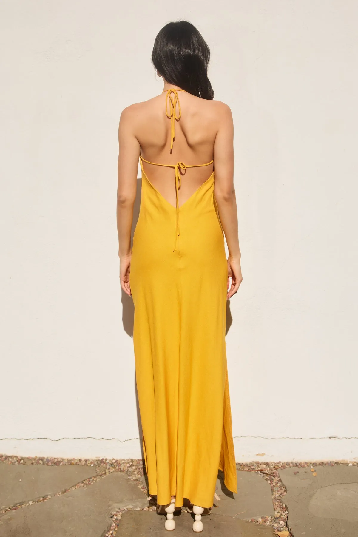 Anessa Halter Neck Open Back Maxi Dress
