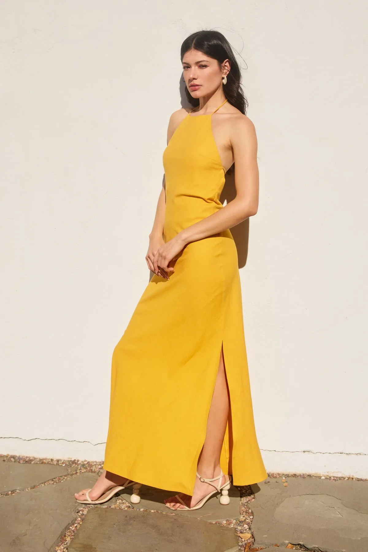 Anessa Halter Neck Open Back Maxi Dress