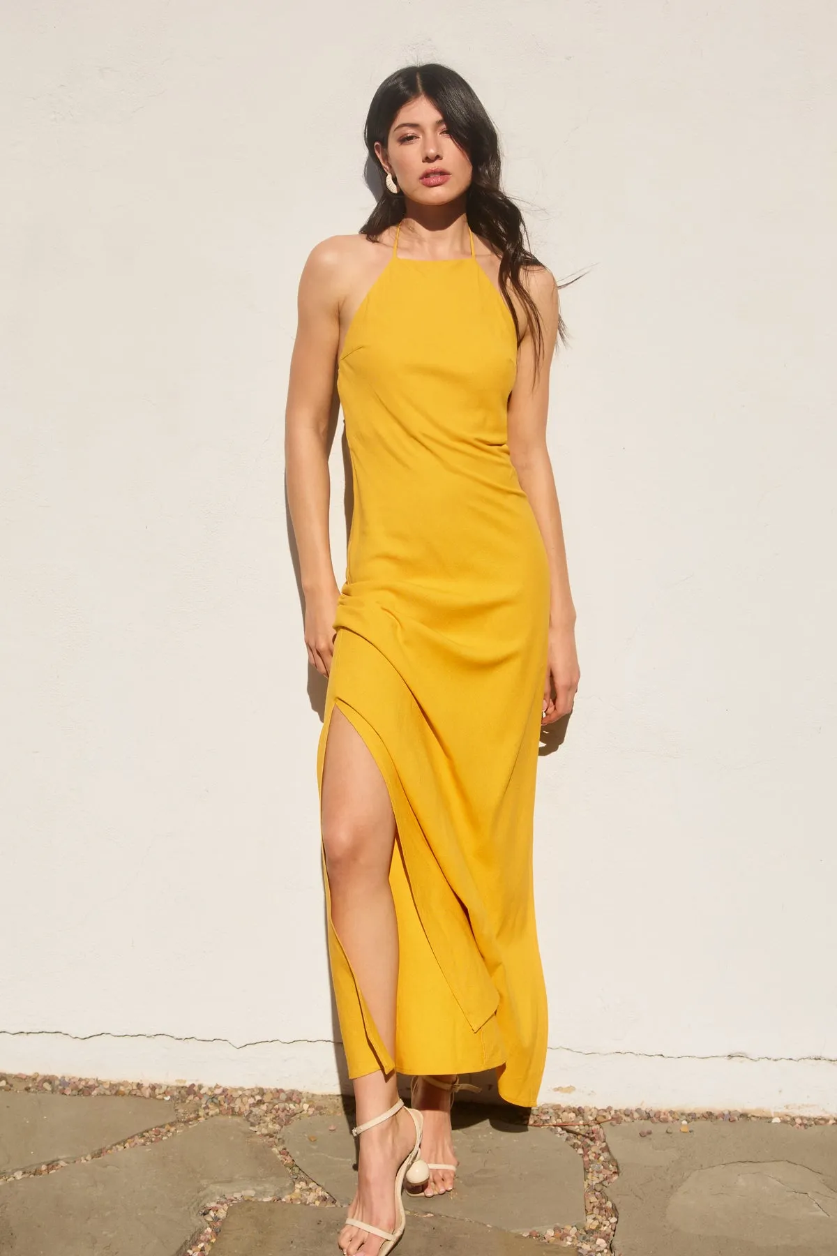 Anessa Halter Neck Open Back Maxi Dress