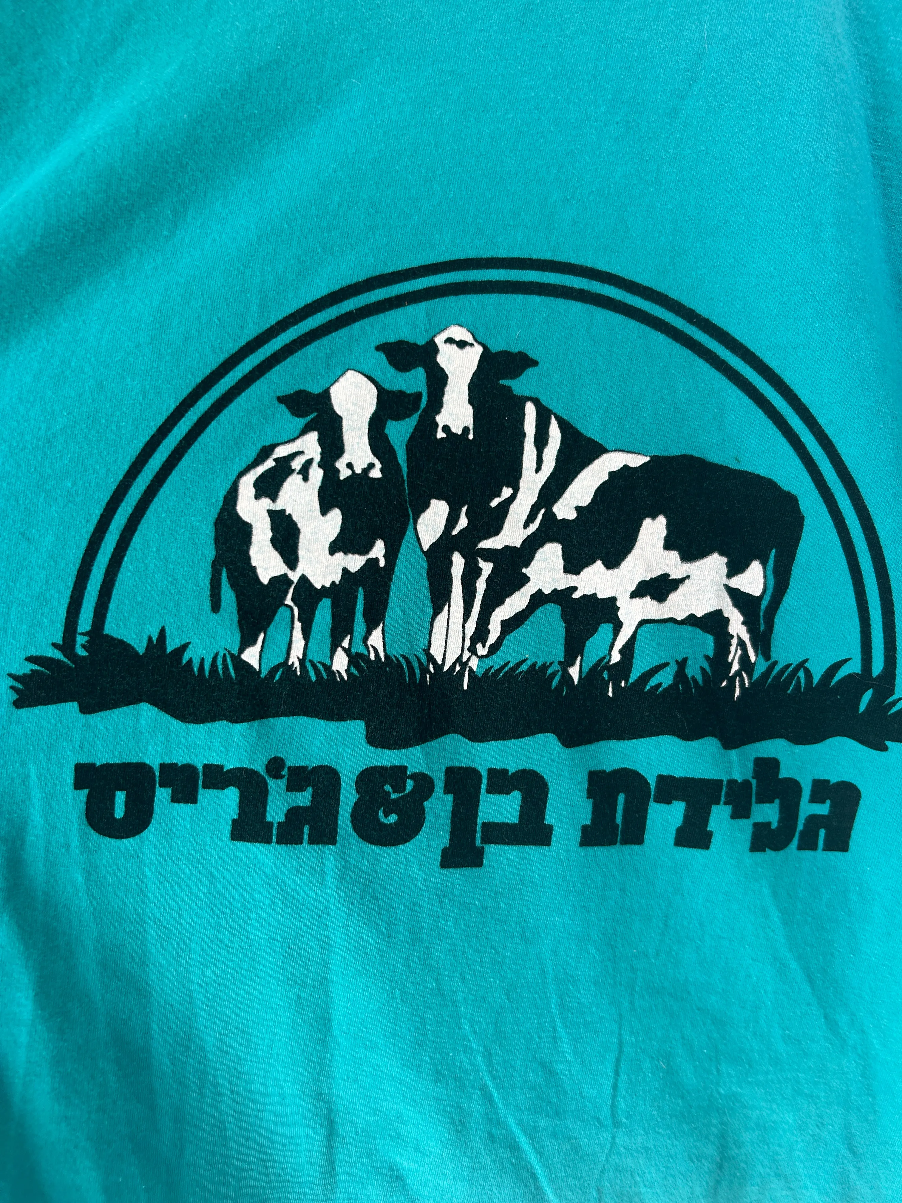Ben & Jerry's Israel Tee