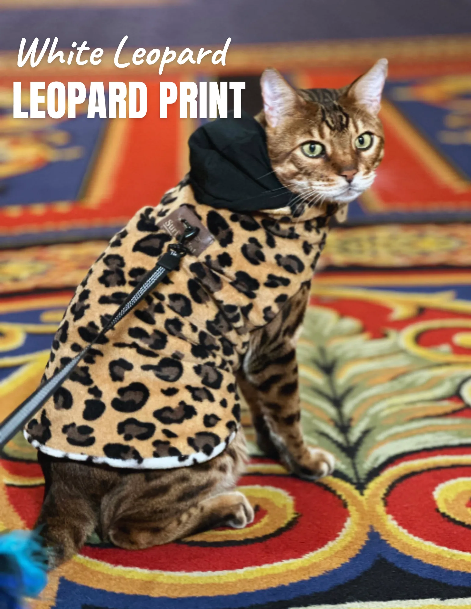 Cat Jacket Hideaway Hoodie Coat