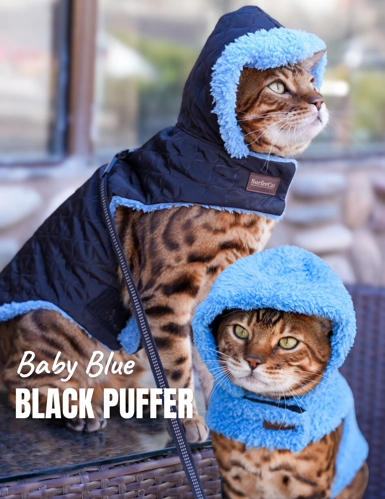 Cat Jacket Hideaway Hoodie Coat
