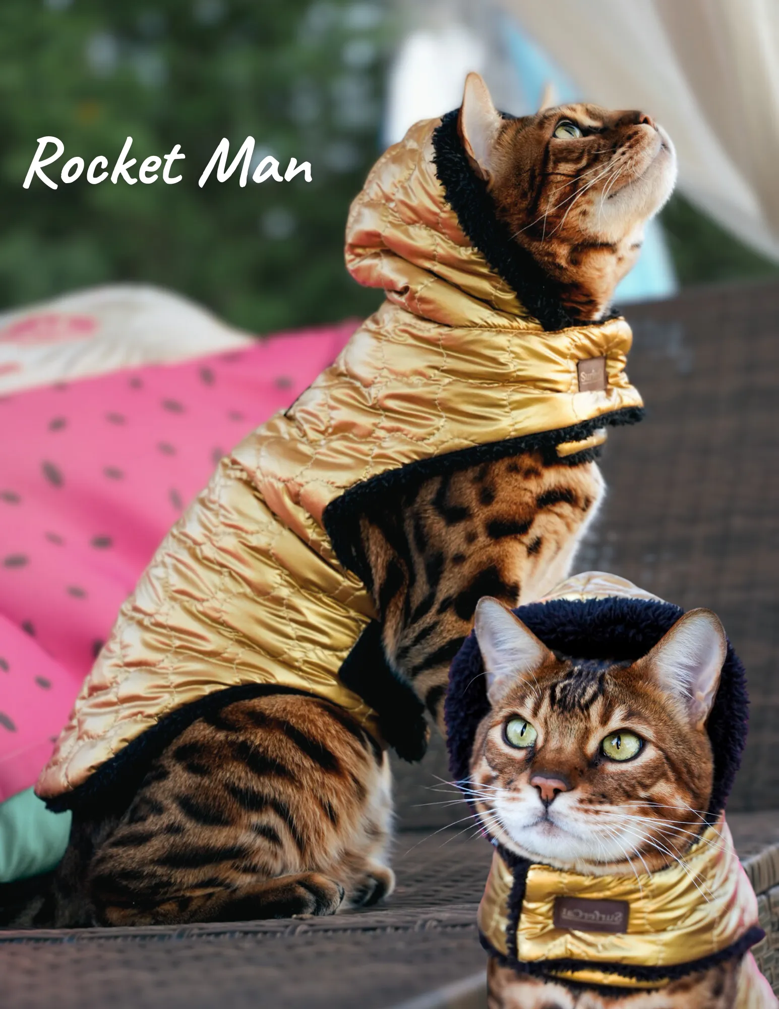 Cat Jacket Hideaway Hoodie Coat