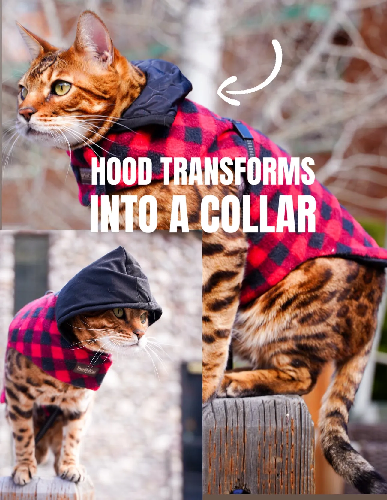 Cat Jacket Hideaway Hoodie Coat