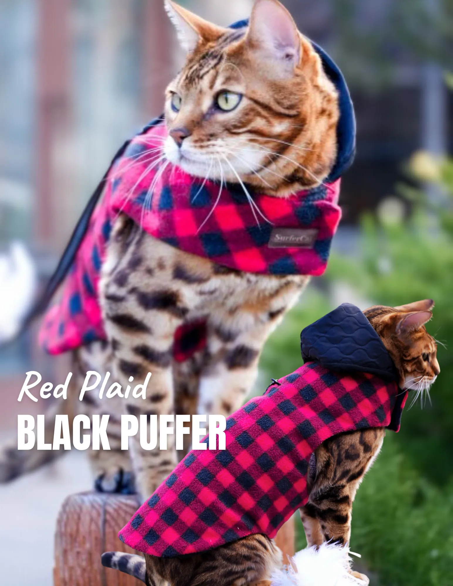 Cat Jacket Hideaway Hoodie Coat