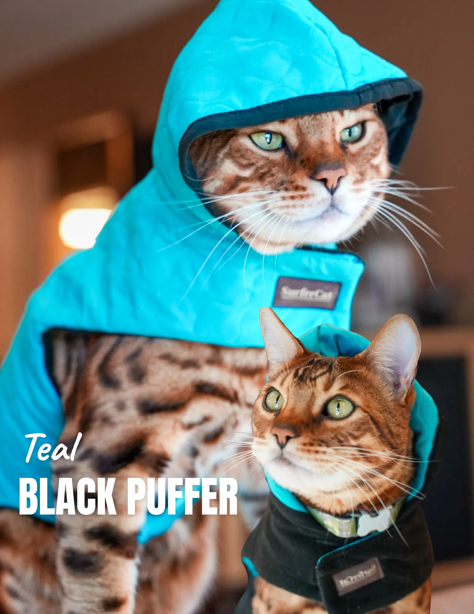 Cat Jacket Hideaway Hoodie Coat