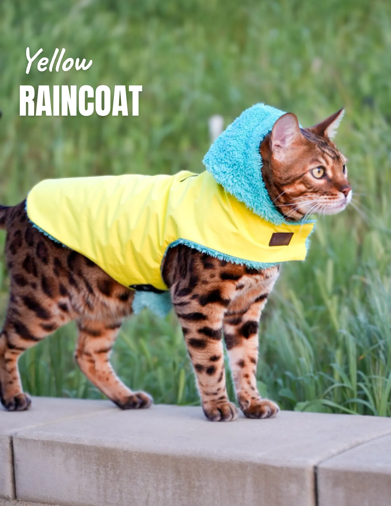 Cat Jacket Hideaway Hoodie Coat