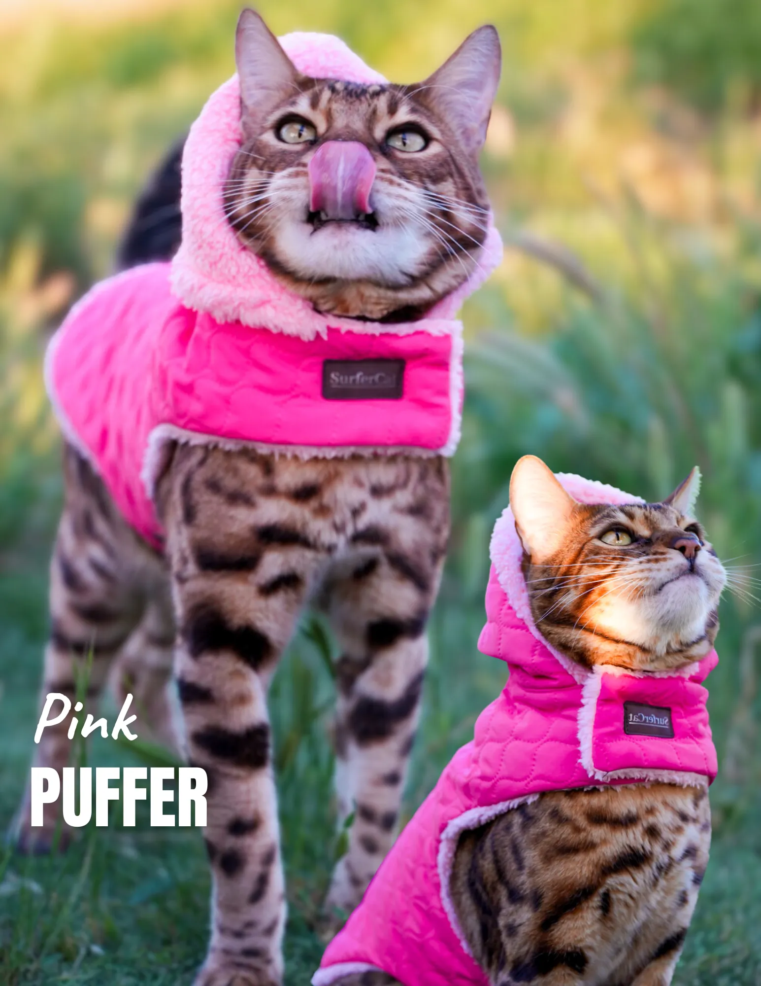 Cat Jacket Hideaway Hoodie Coat