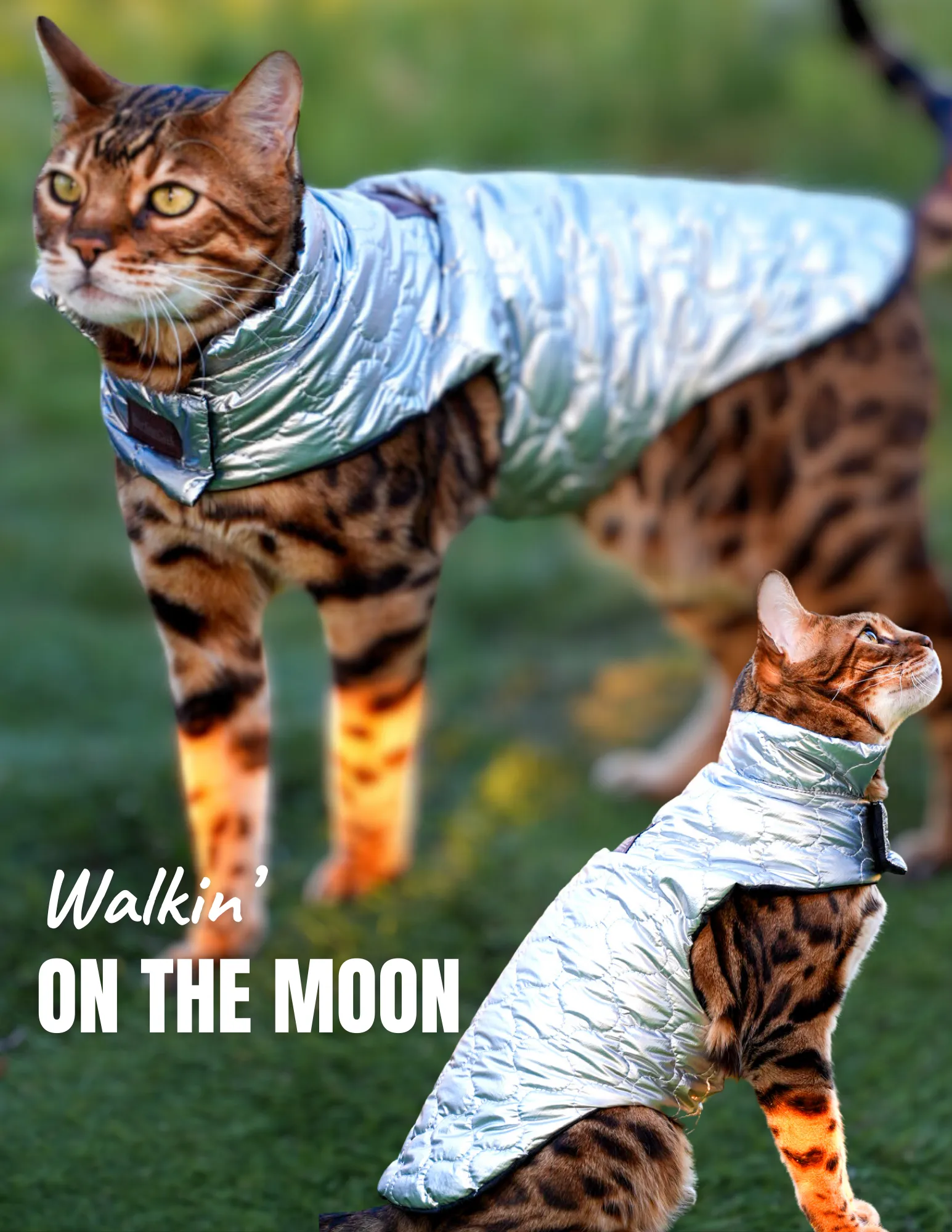Cat Jacket Hideaway Hoodie Coat