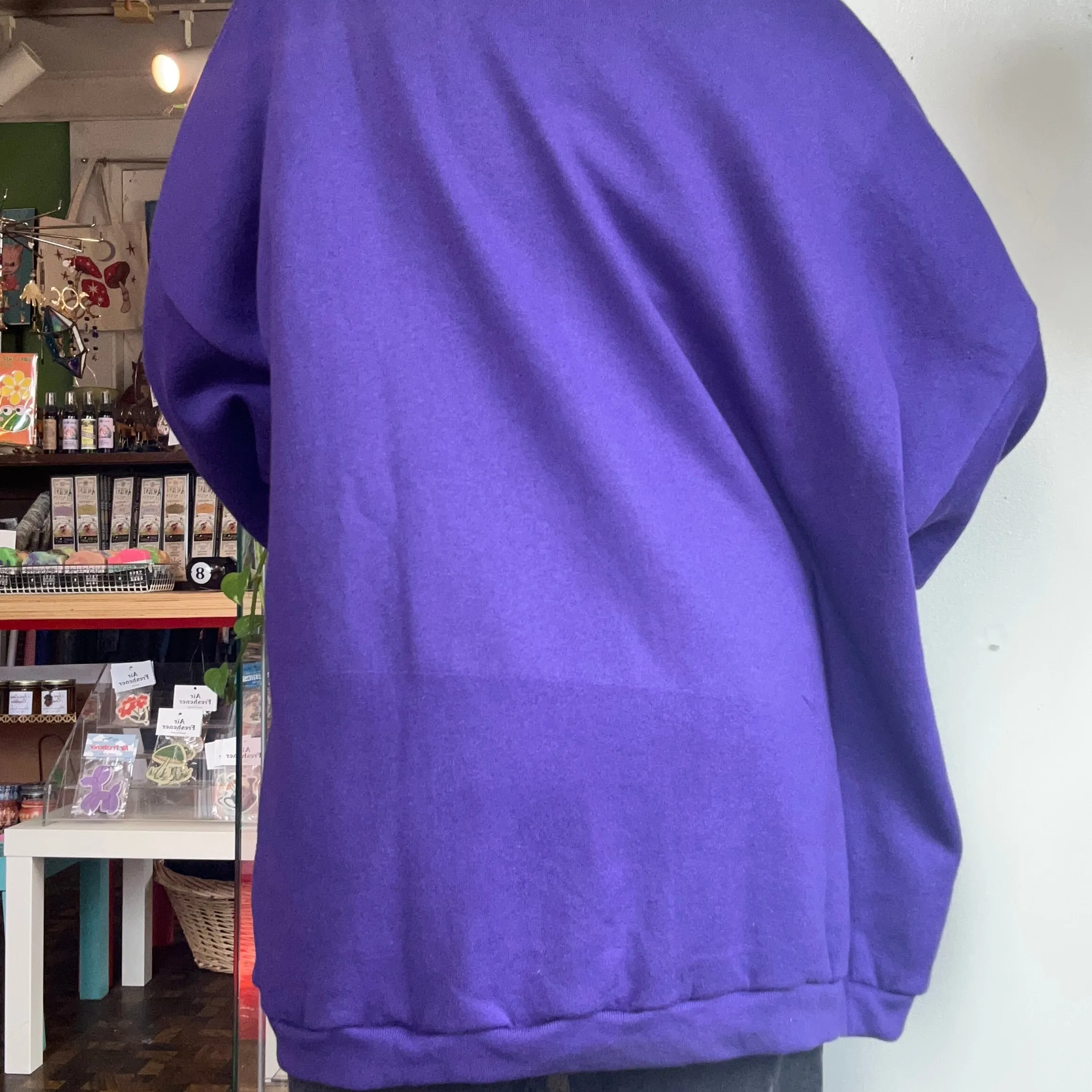 Deadstock Looney tunes tweety bird pullover