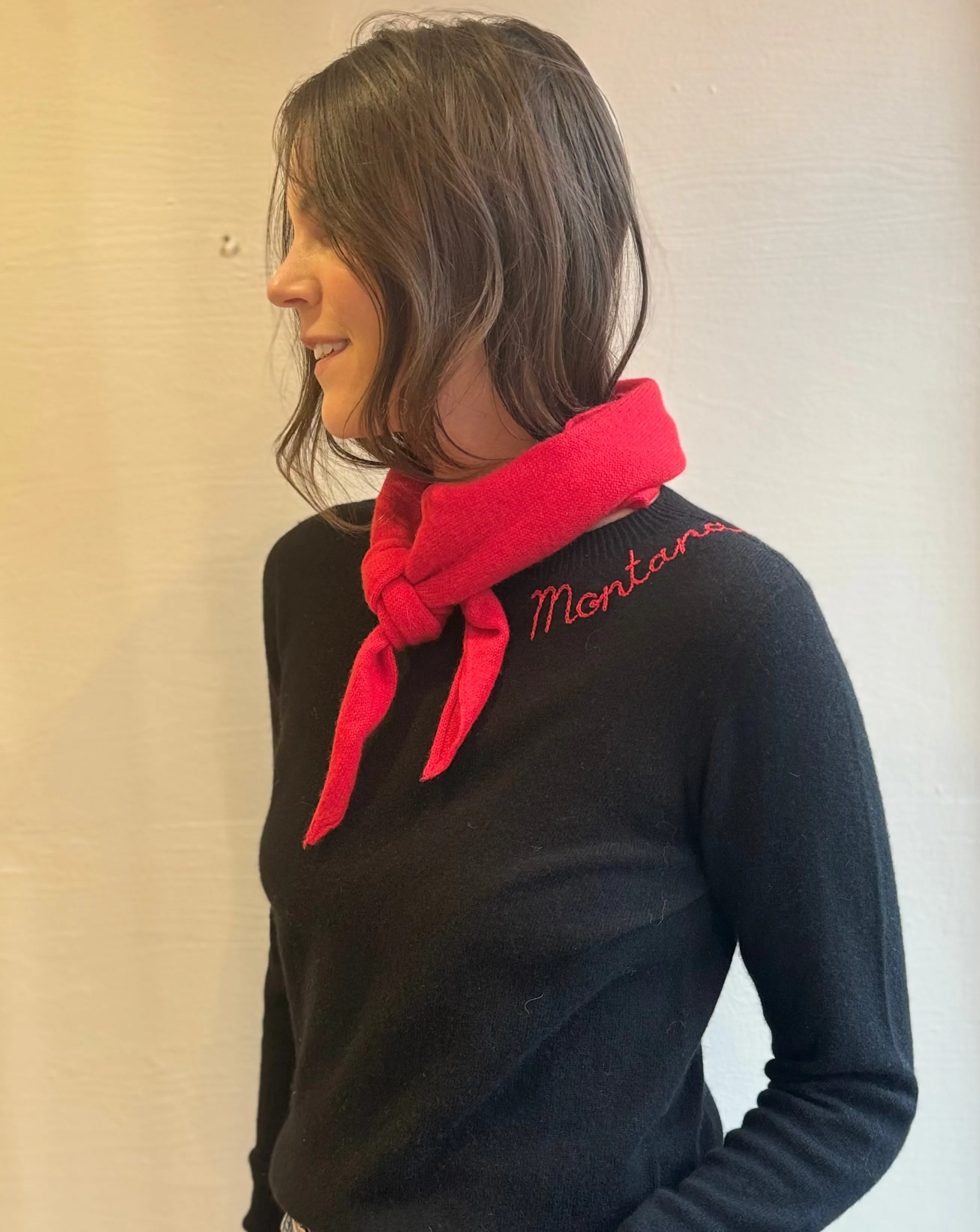 Embroidered Montana crew-neck cashmere sweater- black