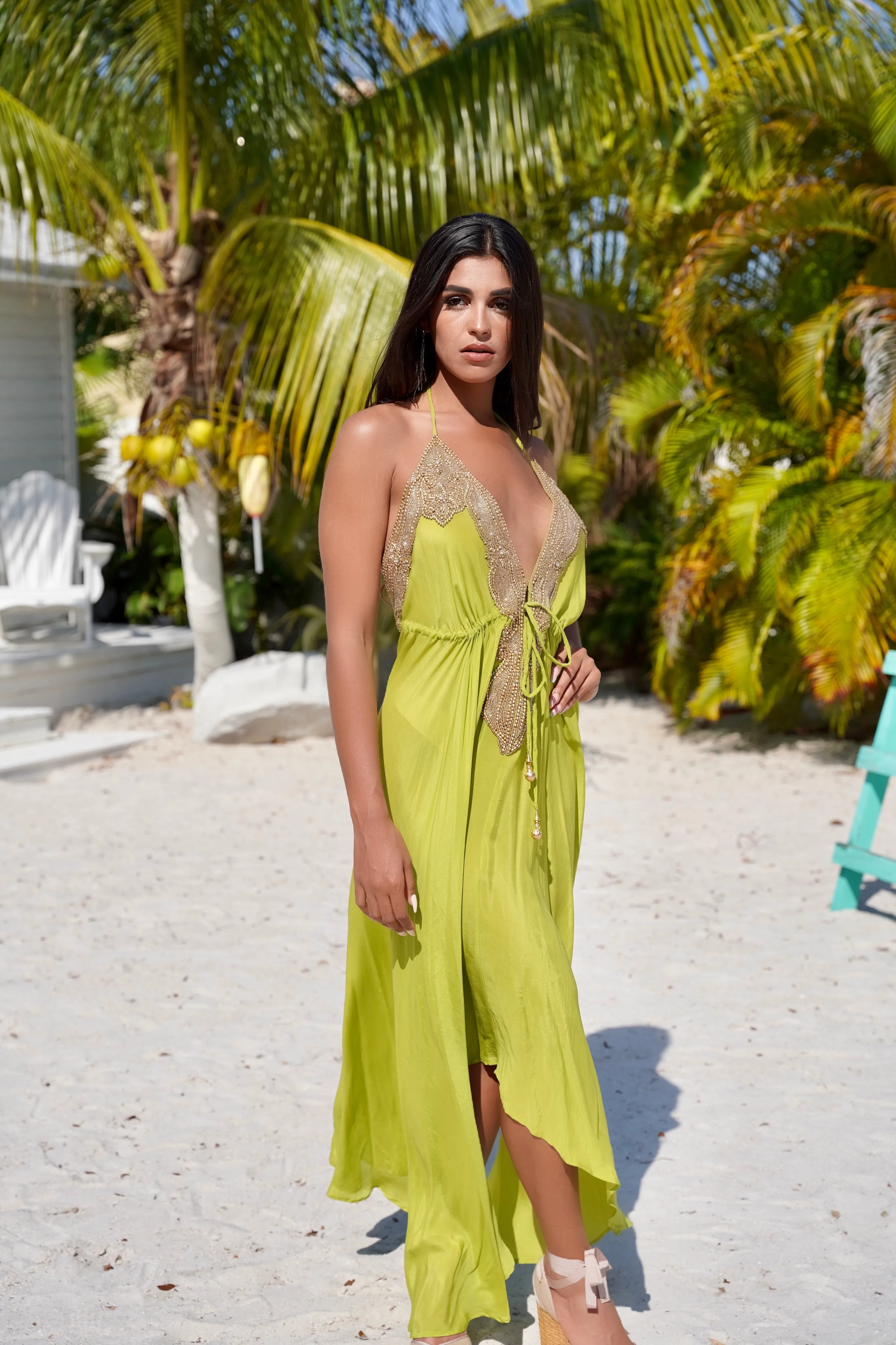 Ivy Beaded Scarf Dress