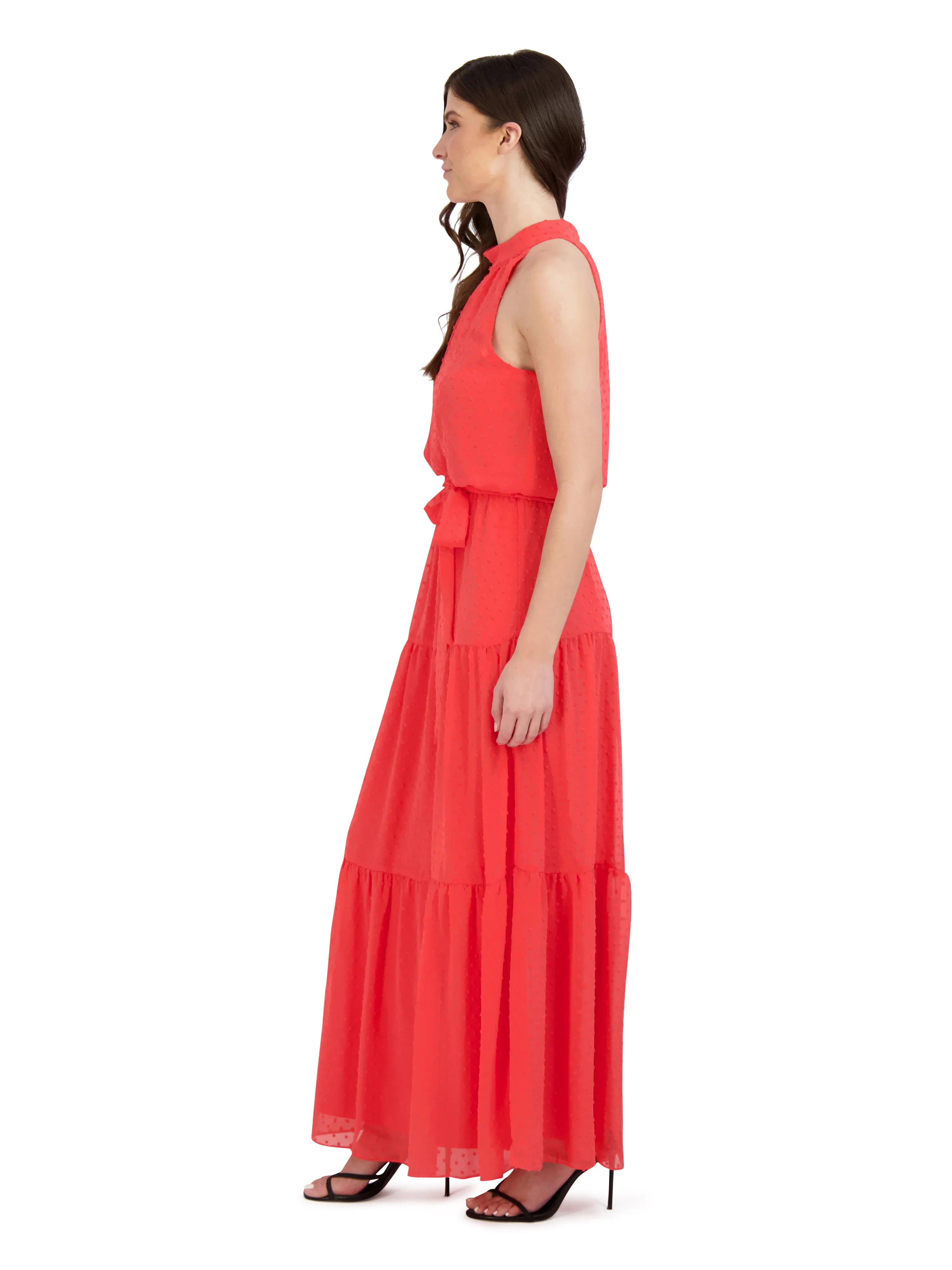 Mock Neck Clipped Chiffon Maxi