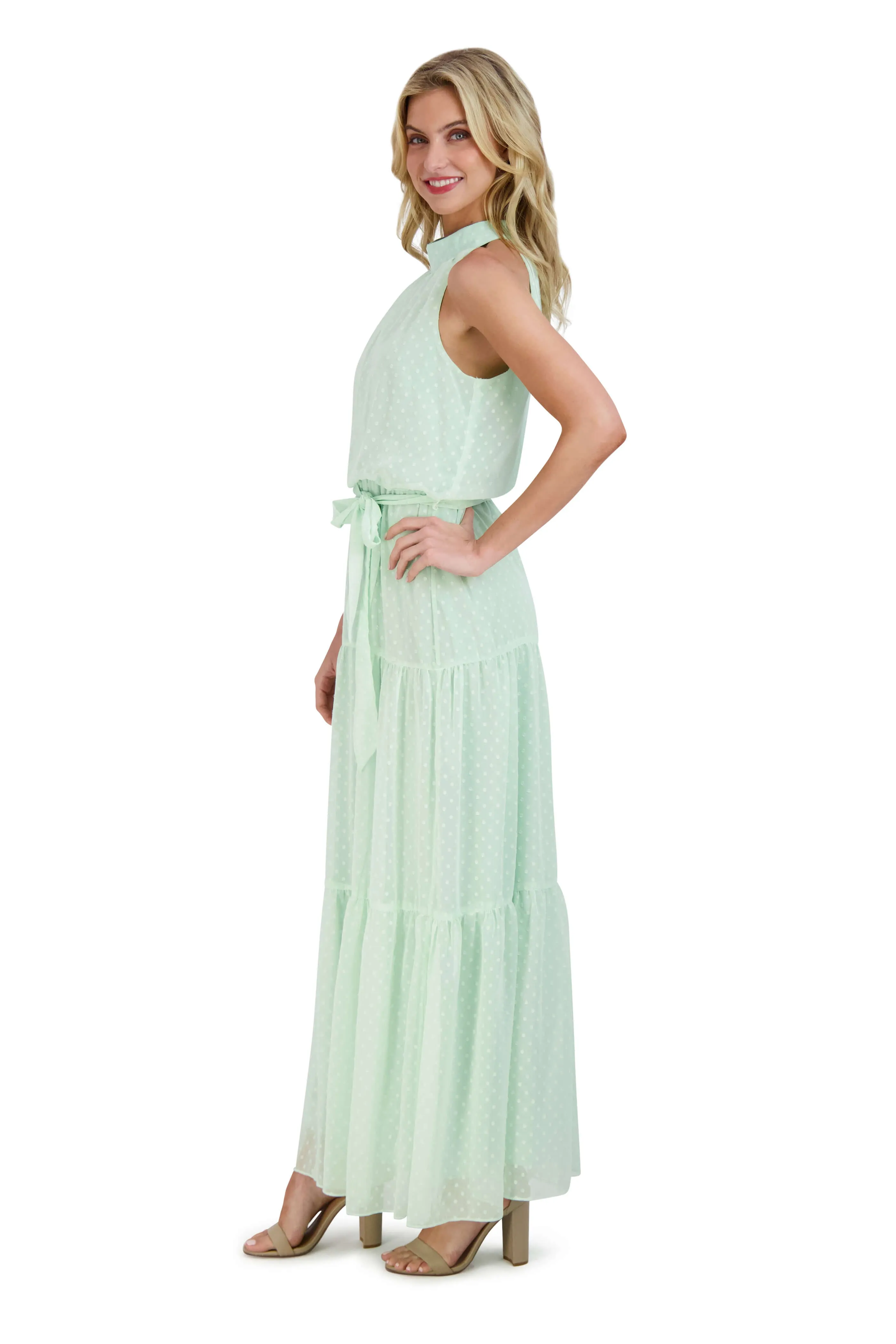 Mock Neck Clipped Chiffon Maxi