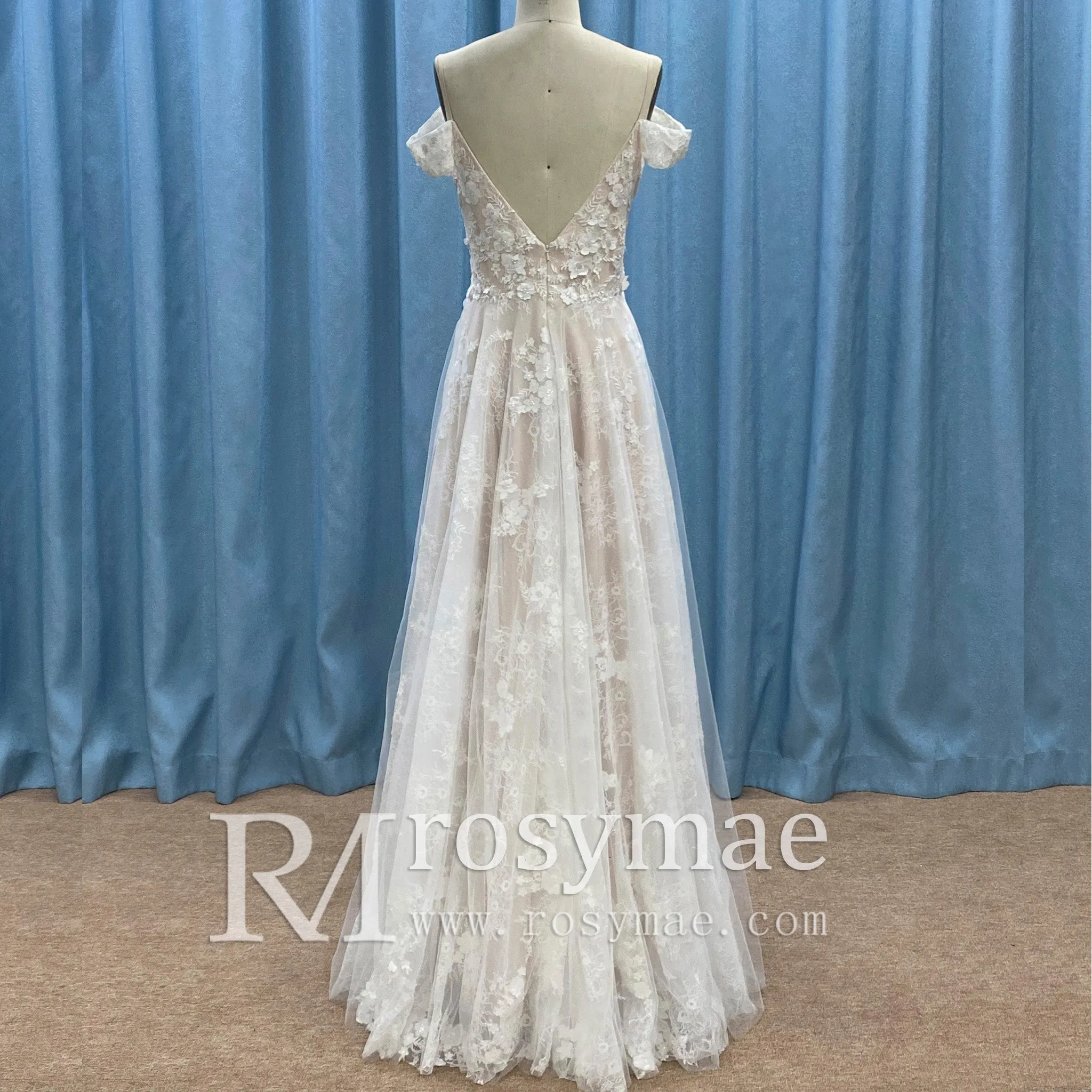 Off the Shoulder Sheath Lace Tulle Wedding Dress with Vneck