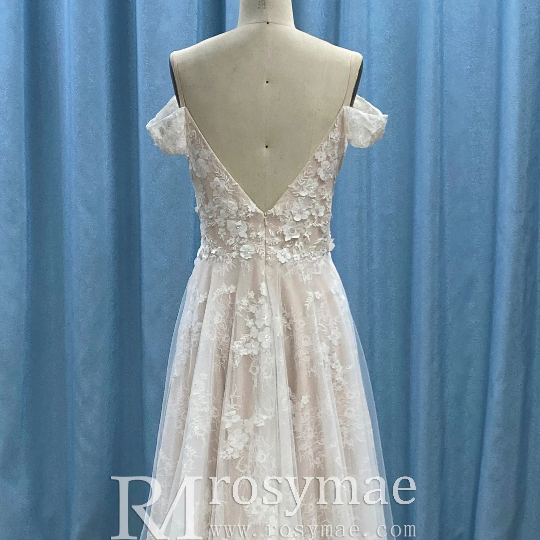 Off the Shoulder Sheath Lace Tulle Wedding Dress with Vneck