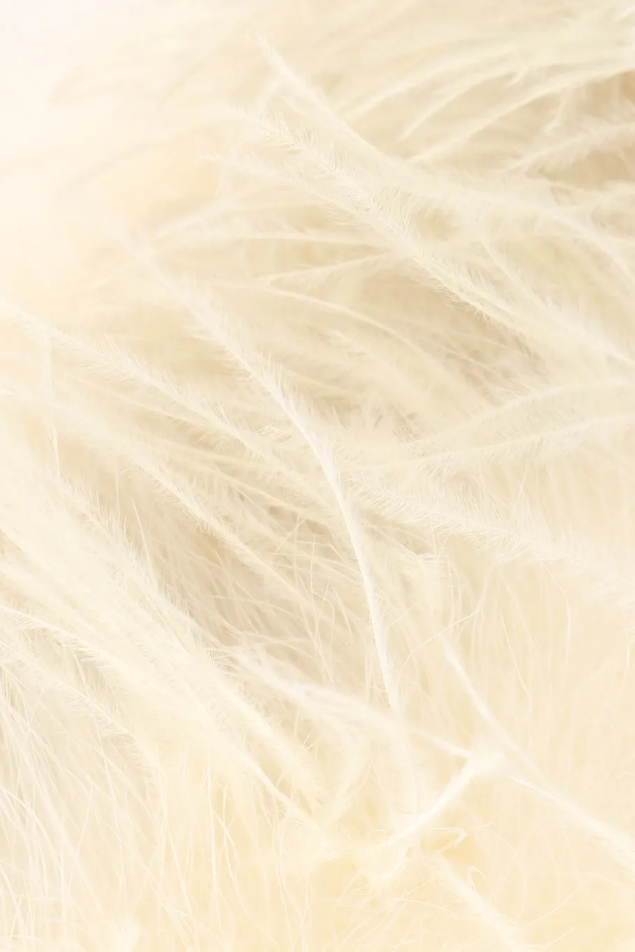 Ostrich Feather Jacket II