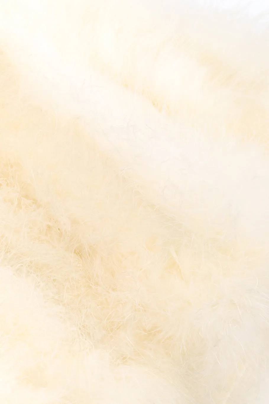 Ostrich Feather Jacket II