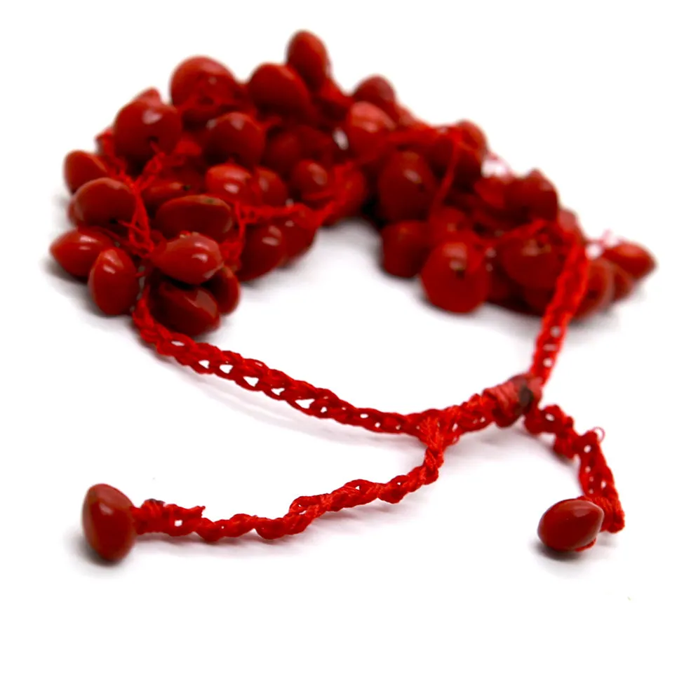 Terra: Annatto Red Seed Bracelet